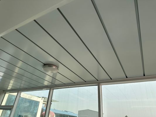 Gepersonaliseerd 20FT/40FT Draagbaar Prefabricated Home Containerhuis voor orkaanbestendige woning 2 slaapkamers Mobiele huis