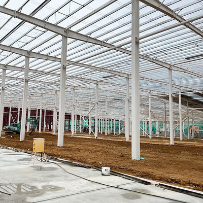 Voorgefabriceerd staal magazijngebouw gemakkelijk te installeren door de bron met staal deur structuur en installatie